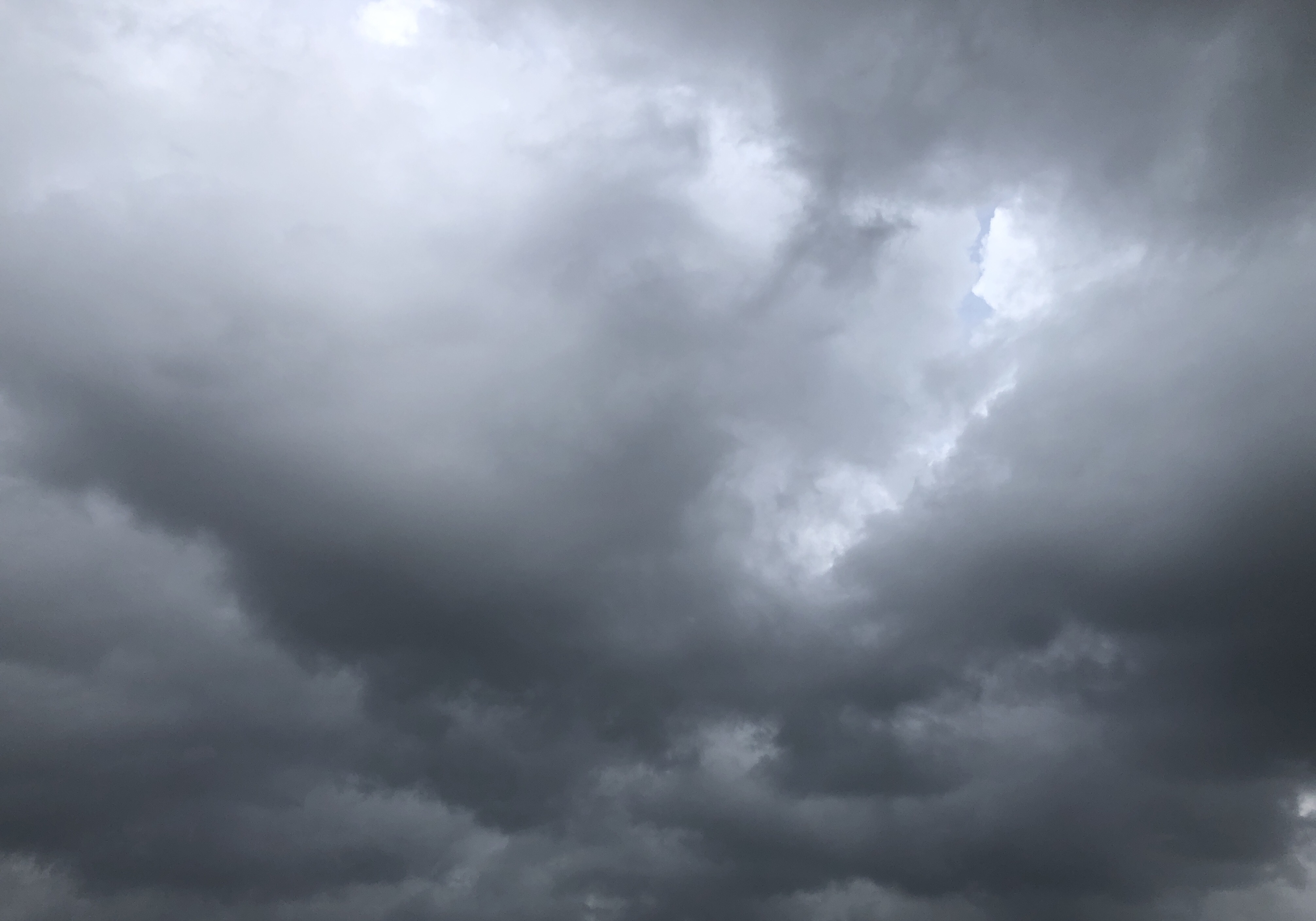 台風対策