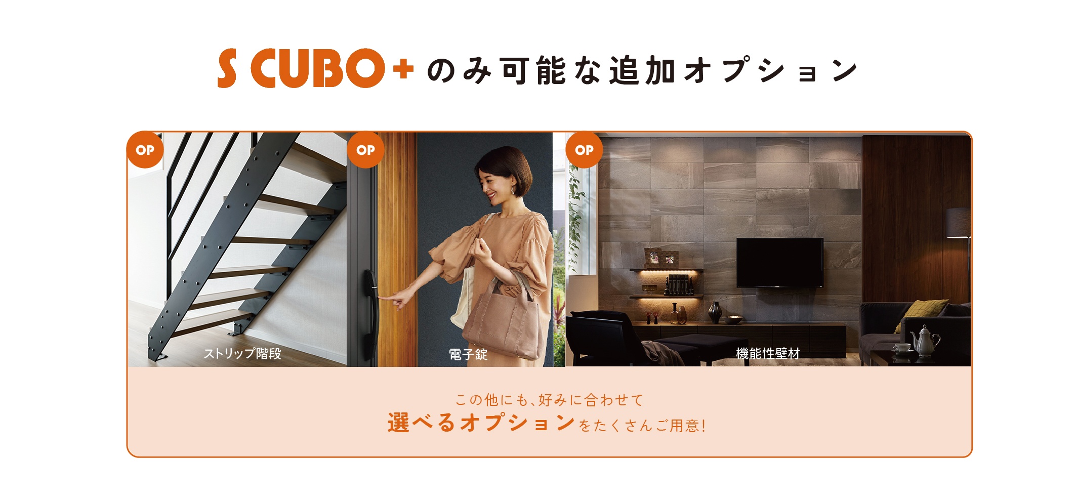 S CUBO+オプション