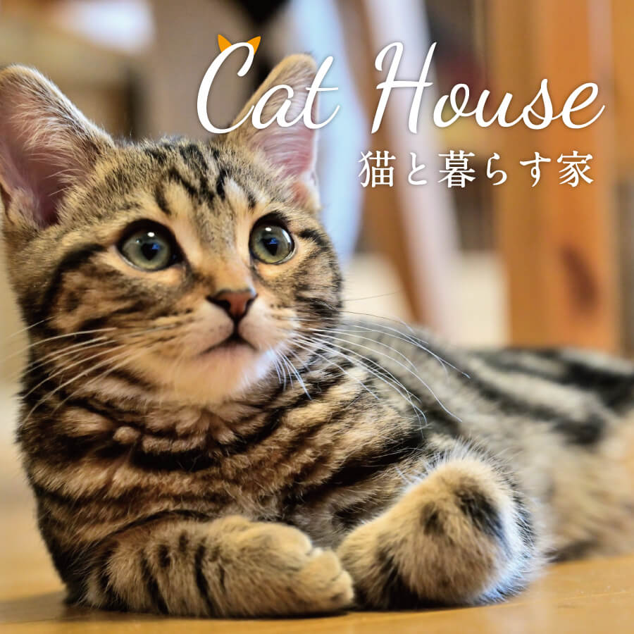 【MODELHOUSE】“猫・犬と暮らす”モデルハウスの見学会開催中（浜松市中央区篠原町）
