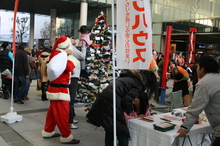 IMG_4808.JPG