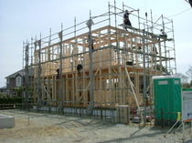 DSCF0219.JPG