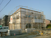 DSCF0315.JPG