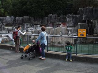DSCF2287.JPG