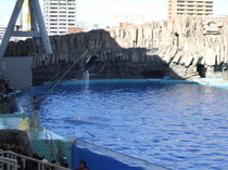 DSCF3122.JPG