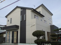 DSCF3493.JPG