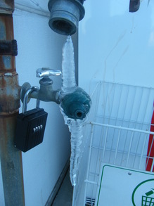DSCF8532.JPG