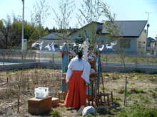 DSCF8773.JPG