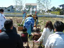 DSCF8777.JPG