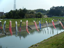 DSCF8883.JPG