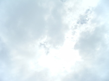DSCF8908.JPG