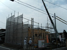 DSCF9231.JPG
