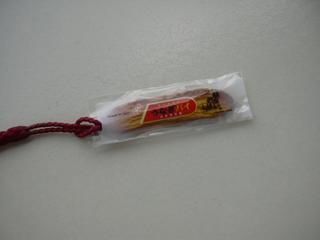 DSCN3269.JPG