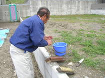 DSCN8405.JPG