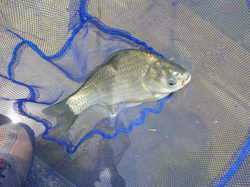 DSCN8430.JPG