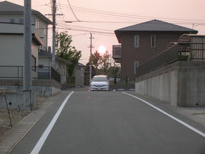DSCN8454.JPG