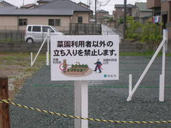 DSCN8528.JPG