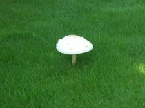 DSCN8564.JPG