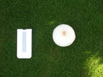 DSCN8565.JPG
