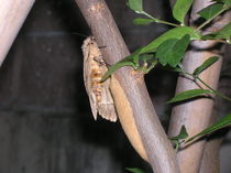 DSCN8568.JPG
