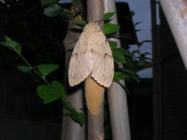 DSCN8573.JPG