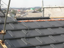 DSCN8704.JPG