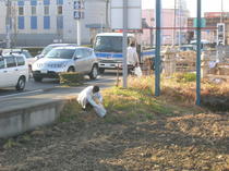 DSCN8712.JPG