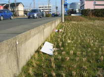 DSCN8716.JPG