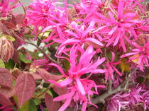 DSCN8828.JPG