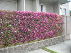 DSCN8829.JPG