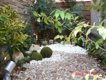 GEDC0733.JPG