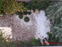 GEDC0739.JPG