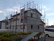 IMG_20110908_123510.jpg