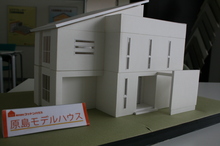 IMG_5359.JPG