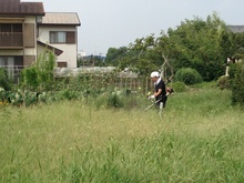 IMG_5726.jpg