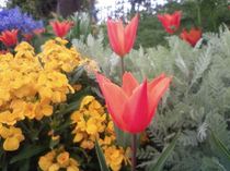花1