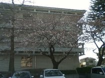 090326_1615~01.jpg