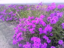 CameraZOOM-20120526163903400.jpgのサムネール画像のサムネール画像