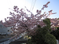 IMG_2139.JPGのサムネイル画像