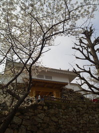 P1000070.JPG