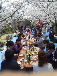 P1000071.JPG