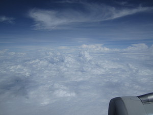 IMG_3094.JPG