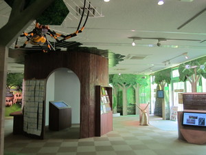 IMG_3316.JPG