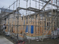 IMG_6913.JPG