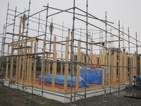 IMG_7279.JPG