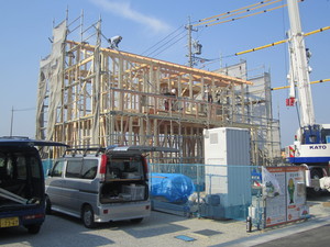 IMG_4786.JPG