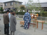 IMG_8379.JPG