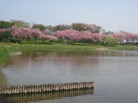 IMG_8524.JPG