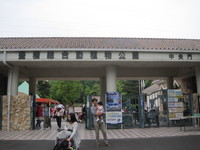 IMG_8749.JPG