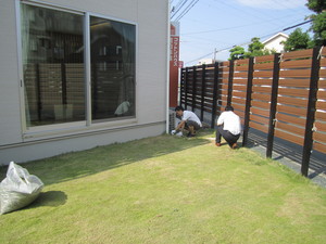 IMG_5064.JPG