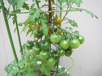 IMG_8899.JPG